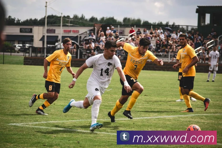 App Interface Preview