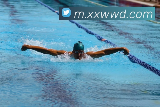 问鼎娱乐APP 封面图